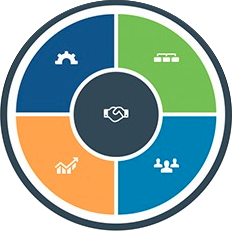 DVM Icon Web